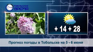 ПОГОДА на 5-6 июня