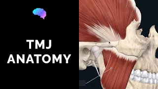 Temporomandibular Joint (TMJ) Anatomy | 3D Anatomy Tutorial | UKMLA | CPSA