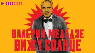 Валерий Меладзе - Вижу солнце | Official Audio | 2020