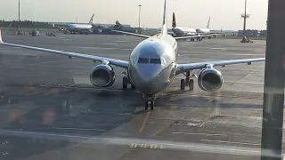 Boeing 737-800 Smartavia Сочи - Санкт-Петербург зарулевает к телетрапу Пулково.