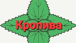 Інтерактивна військова мапа "кропива"