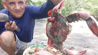 SOBREVIVÊNCIA NO MANGUEZAL: CAPTURAMOS NOSSO LANCHE!