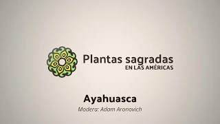 Ayahuasca in Shipibo Medicine | Plantas Sagradas en las Américas