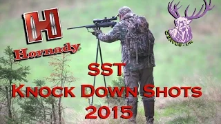 HORNADY SST KNOCK DOWN SHOTS 2015