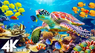 Ocean 4K - Sea Animals for Relaxation, Beautiful Coral Reef Fish in Aquarium - 4K Video Ultra HD #94