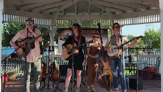 East Texas Music Live | The Purple Hulls | Live Concert | Mineola, TX