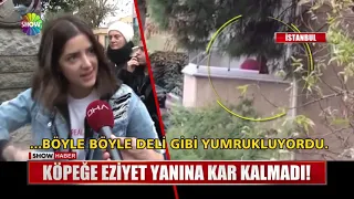 Köpeğe eziyet yanına kar kalmadı!