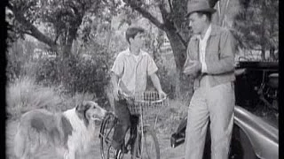 Lassie - Episode 75 - "The Gossip" - Season 3, #10 (11/11/1956)