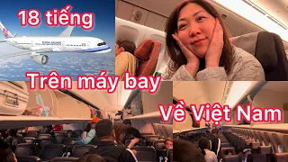 Chuyến bay từ Mỹ về Việt Nam sau 15 năm...