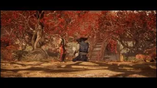 Raiden V Liu Kang (MK11 Timeline Battles)