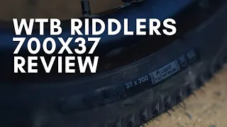 WTB Riddlers 700x37 on my Cross Bike Canyon Inflite (Review)