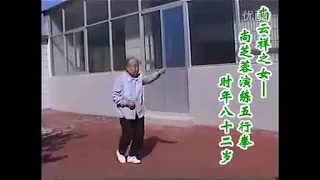 形意拳五行拳 Shang Xing Yi Quan 5 elements Shang Zhirong