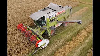 Claas Dominator Mega 204