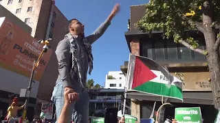 Demonstrators march in Seoul in support of Palestinians