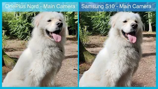 Galaxy S10 vs One Plus Nord - Camera Comparison for Photos & Videos (with GCam Mod)