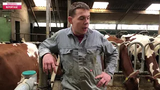 Klauwproblemen bij koeien aanpakken met behandelservice