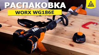 Аккумуляторный триммер Worx WG 186: сколько проработает на одном заряде? Распаковка 220