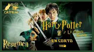 HARRY POTTER Y LA CAMARA SECRETA EN CORTO | RESUMEN