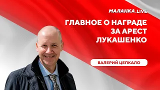 Сколько стоит диктатор / Кто получит 11 миллионов евро / Все о безопасности сбора