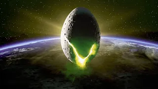 The Giant Egg Controversy - Explained