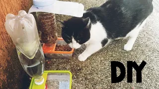 DIY automatic dog feeder and water for dogs or cats