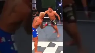 Monster knockout￼