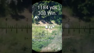 1184 yards with 308 Win. First Round Impact