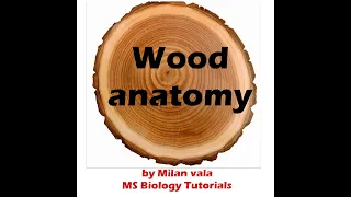 Wood anatomy I M. Sc. Botany I by Milan Vala