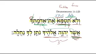 Deuteronomy 21:23b