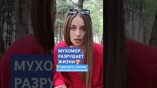 🍄МУХОМОР РАЗРУШАЕТ ЖИЗНЬ