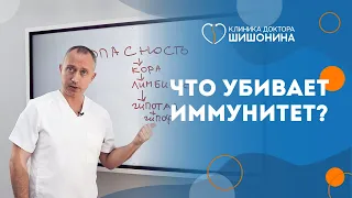 Подробный разбор от доктора Шишонина 📋