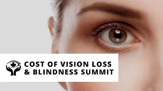 Cost of Vision Loss & Blindness Summit