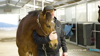 Troy Corstens Introducing Geelong's Community Thoroughbred  Not A Single Doubt X Countess Dehere