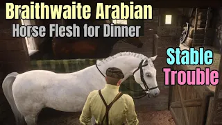 Problems Getting Braithwaite White Arabian into Stable After Acquisition : Red Dead Redemption 2