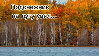 Христианская песня / "Подснежник на лугу увял" / Павлодар