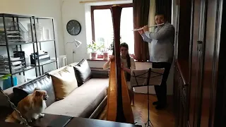 Ансамбль, 2 частина. Harp/Flute, Арфа/Флейта.