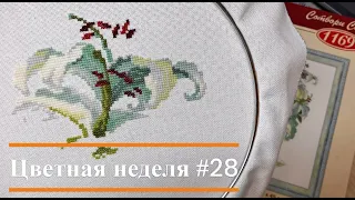 Цветная неделя 28 // 11.08.2023 - 17.08.2023 //Два старта. Продвижения. Покупки. Вышивка крестом