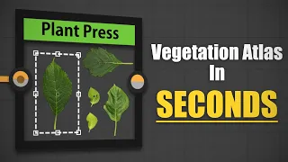 Plant Press | The Fastest Way To Atlas Foliage In Substance Designer