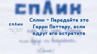 Сплин - Передайте это Гарри Поттеру, если вдруг его встретите (Текст песни)