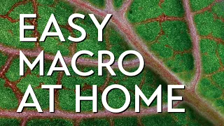 Try This Easy, Creative Macro Project at Home!