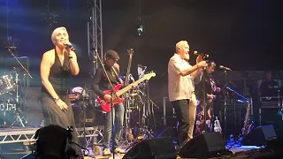 The South: "Don't Marry Her" live Wickham Festival 2021