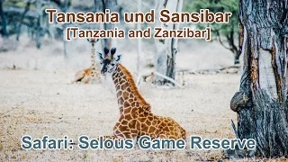 Sansibar und Tansania Reise 2016 - Selous Game Reserve - Urlaubsbericht und Dokumentation