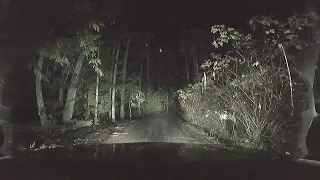 Night driving - Heavy rain on lonely Forest Roads [ASMR]