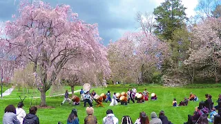 Swarthmore Taiko Ensemble - Omiyage (Swat CBF 4-17-22)