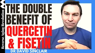 The DOUBLE Benefit of QUERCETIN & FISETIN | Dr David Sinclair Interview Clips