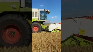 Жнива 2023. Молотимо ячмінь . Claas mega 360