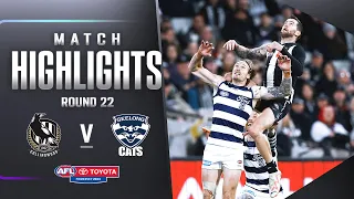 Collingwood v Geelong Highlights | Round 22, 2023