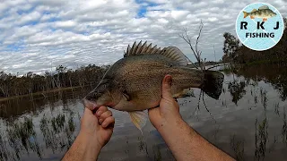 Exciting bait fishing at Lake Eppalock