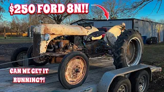 Will This ABANDONED 1949 Ford 8N Run After Sitting For YEARS?!