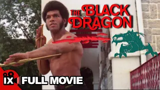 The Black Dragon (1979) | MARTIAL ARTS MOVIE | Jason Pai Piao - Ron Van Clief - Thompson Kao Kang